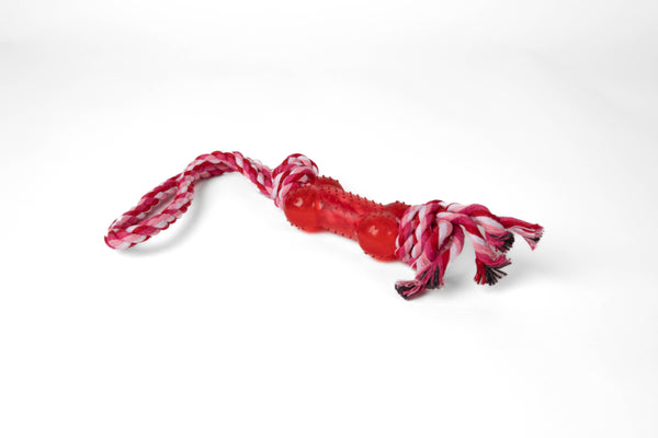 חבל עם עצם וידית לכלב