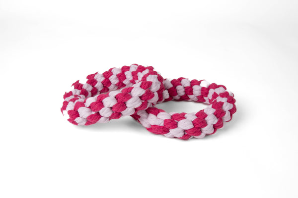 טבעת חבל דנטלית לכלב