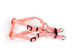 "Triangle" רתמה לכלב - XS